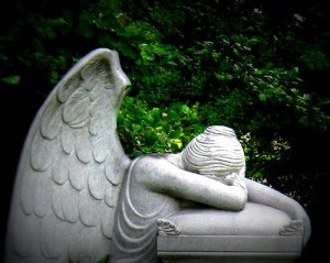 Source: Elyce Feliz via Flickr